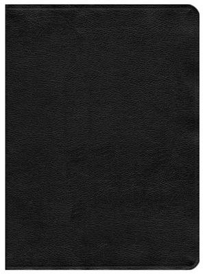 NASB '95 Ryrie Study Bible, Genuine Leather, Black