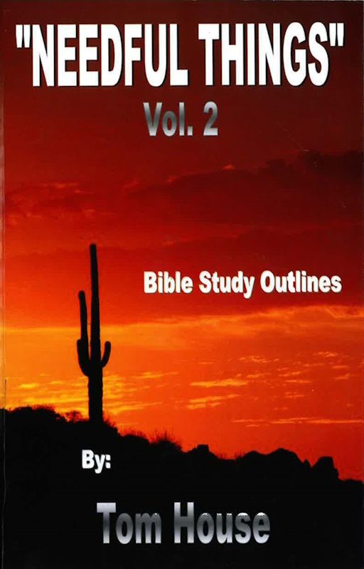 Needful Things Vol 2 (Bible Study Outlines)