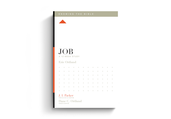 Job: A 12-Week Study