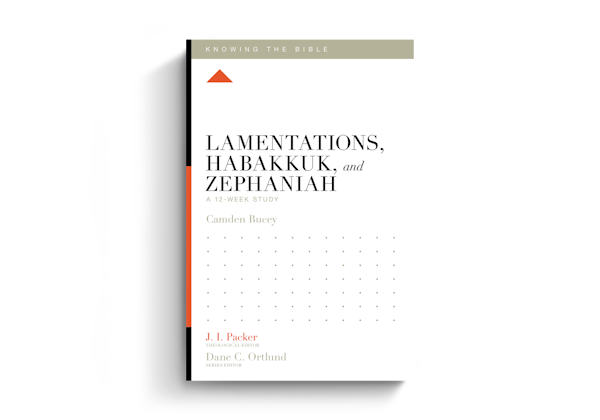 Lamentations, Habakkuk, and Zephaniah: A 12-Week Study