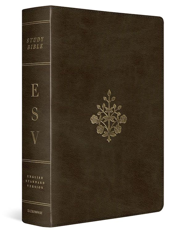 ESV Large Print Study Bible, TruTone, Olive, Branch Design