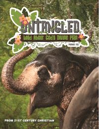 Untangled: Wild About God's Divine Plan