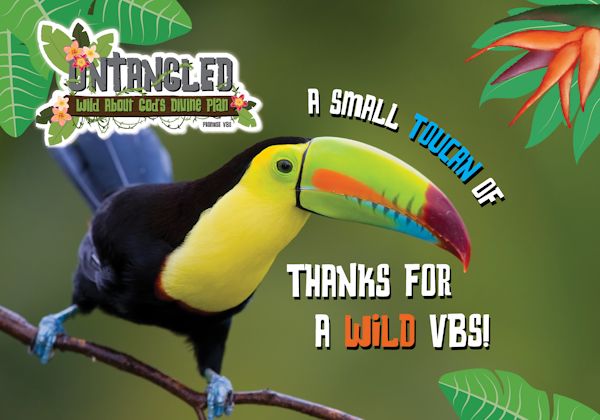 Untangled VBS Thank-You Cards (pk of 25) Untangled VBS Thank-You Cards (pk of 25)