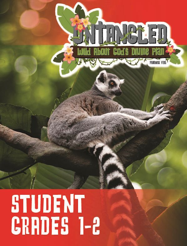 Untangled VBS Grades 1-2 (Student) Untangled VBS Grades 1-2 (Student)