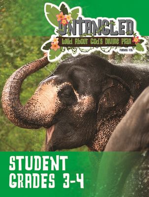 Untangled VBS Grades 3-4 (Student)