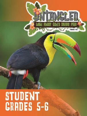 Untangled VBS Grades 5-6 (Student)