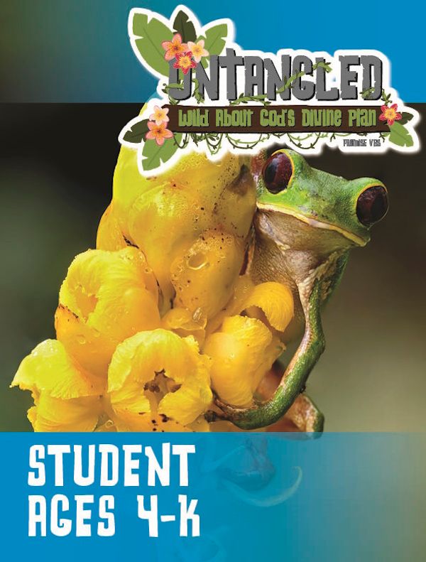 Untangled VBS Ages 4-K (Student) Untangled VBS Ages 4-K (Student)