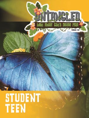 Untangled VBS Teen (Student)