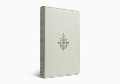 ESV Large Print Value Thinline Bible, TruTone, River Stone, Branch Design
