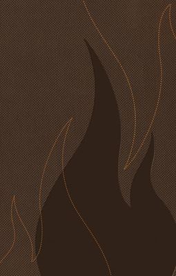 NKJV Ignite: The Bible for Teens, Leathersoft, Brown