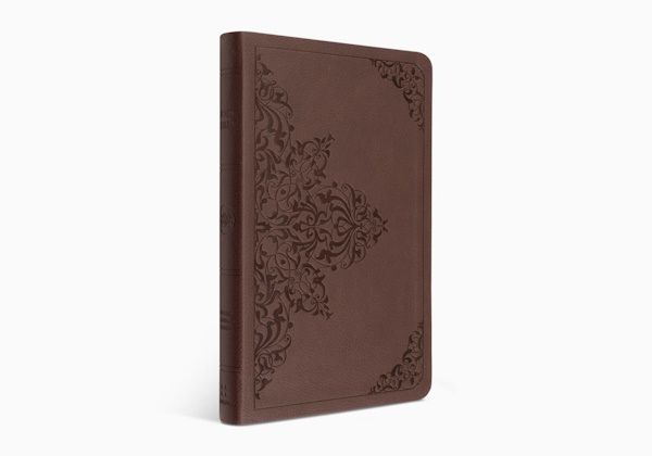 ESV Value Thinline Bible, TruTone®, Chestnut, Filigree Design