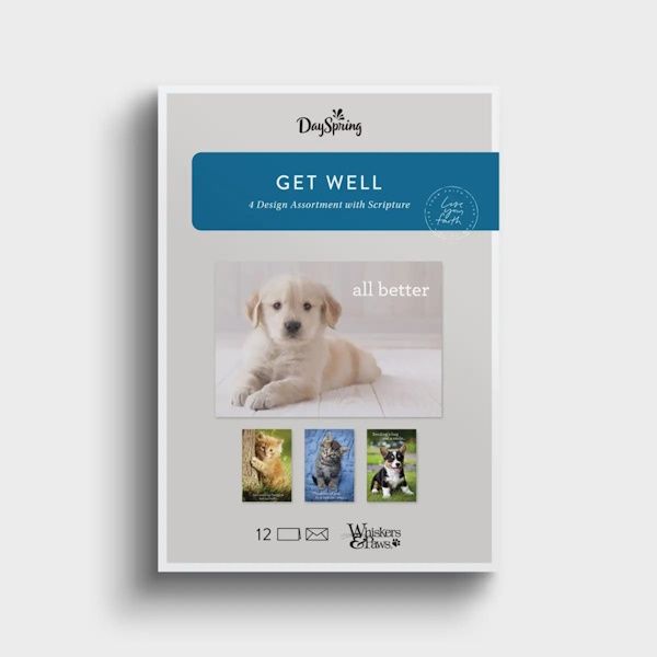 Boxed Cards - Get Well - Whiskers & Paws, KJV