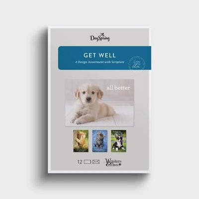 Boxed Cards - Get Well - Whiskers & Paws, KJV