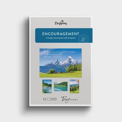 Boxed Cards - Encourage - Tony Evans (Mountain Views)