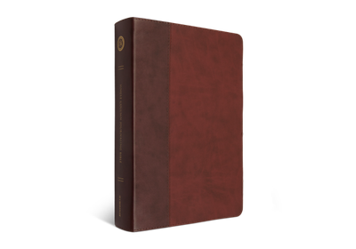ESV Large Print Journaling Bible®, TruTone®, Burgundy/Red, Timeless Design