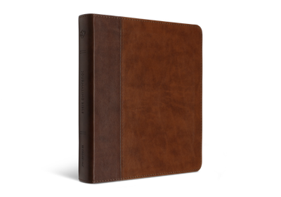 ESV Journaling Bible®, TruTone®, Brown/Tan, Timeless Design
