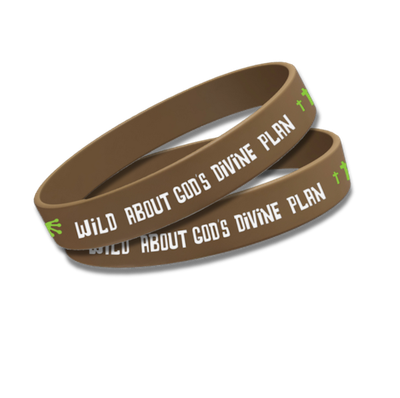 Untangled VBS Wild Wristbands (pk of 12)