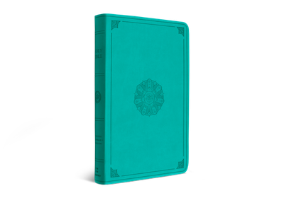 ESV Large Print Value Thinline Bible, TruTone, Turquoise, Emblem Design