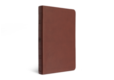 ESV Large Print Value Thinline Bible, TruTone, Chestnut