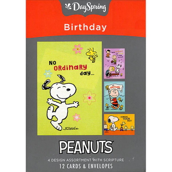 Boxed Cards - Birthday - Peanuts® Boxed Cards - Birthday - Peanuts®