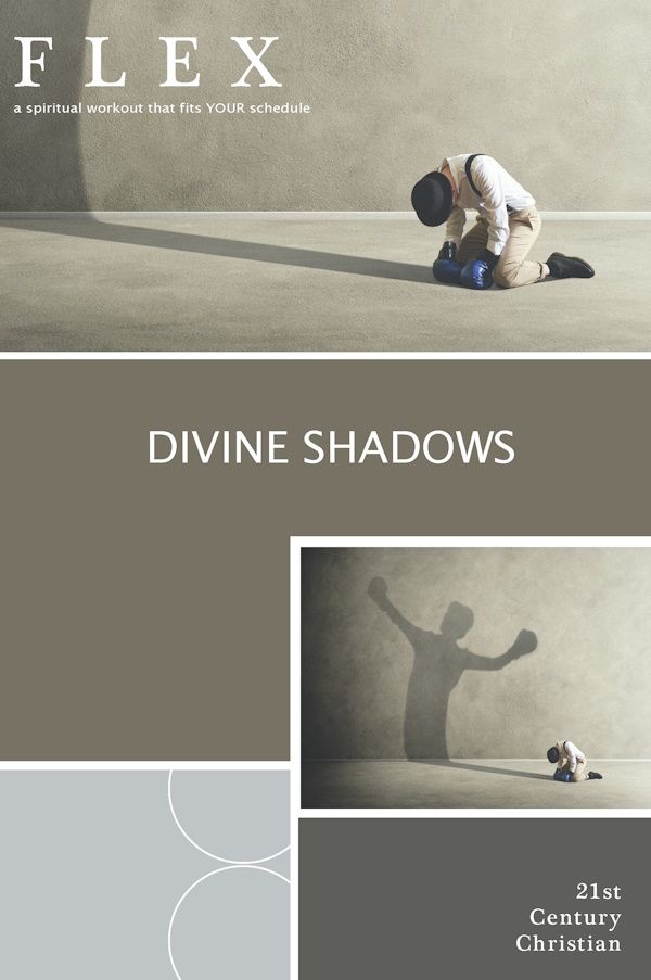 Divine Shadows Divine Shadows