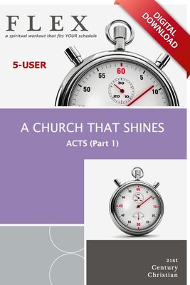 A Church That Shines (Acts Part 1) - eBook Format 5-User License