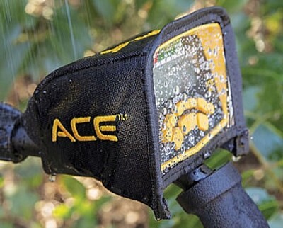 ACE Environmental Cover-Up
