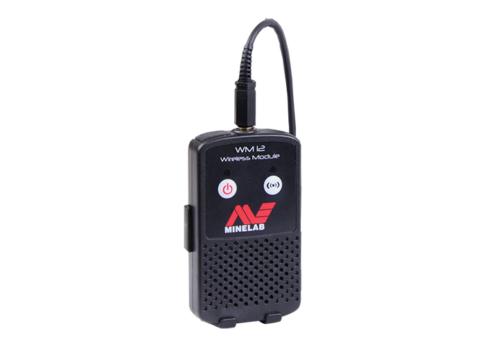 Wireless Module, Audio WM 12