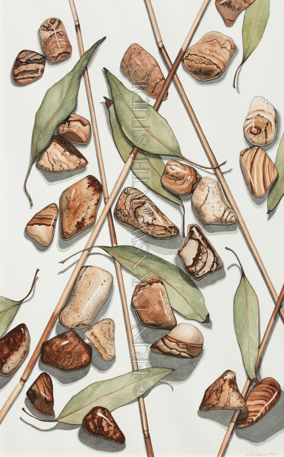 &quot;Reeds, Leaves and Picture Jasper&quot; 11x17 limited edition print