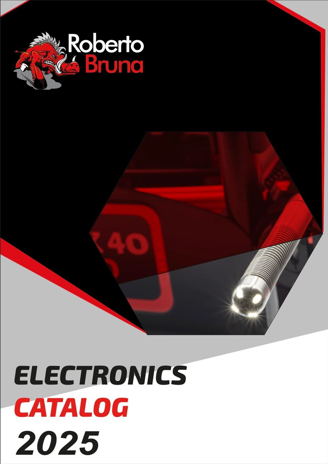 Roberto Bruna ELECTRONICS CATALOG Roberto Bruna ELECTRONICS CATALOG