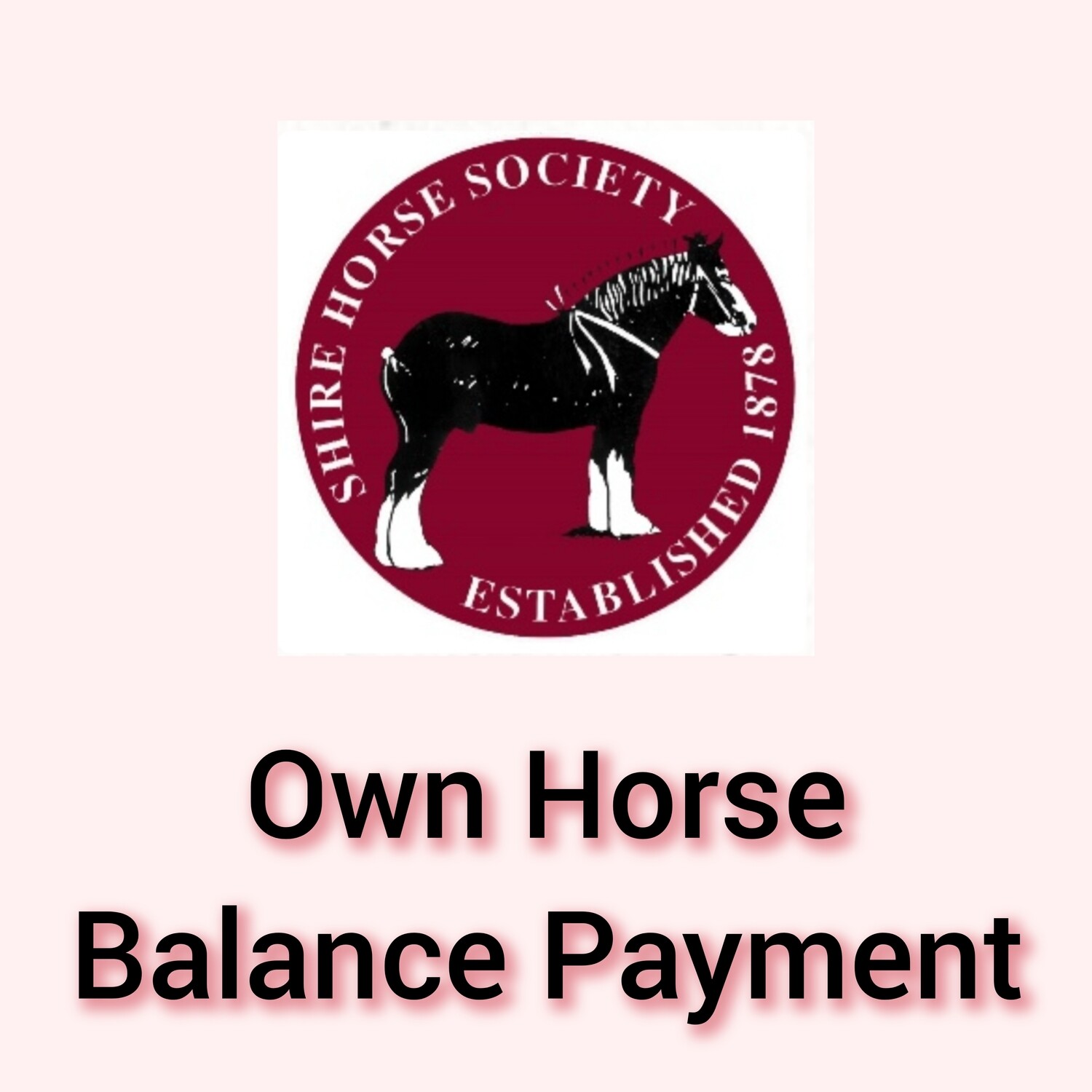 2. Heavy Horse Camp Own Horse Balance Payment