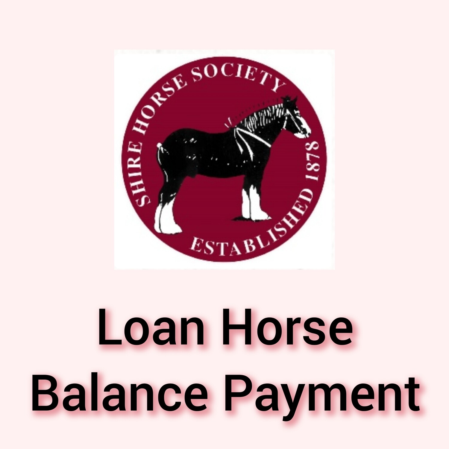 3. Heavy Horse Camp Loan Horse Balance Payment