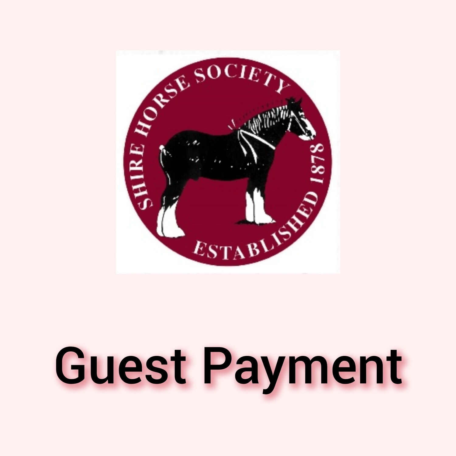 5. Guest Payment