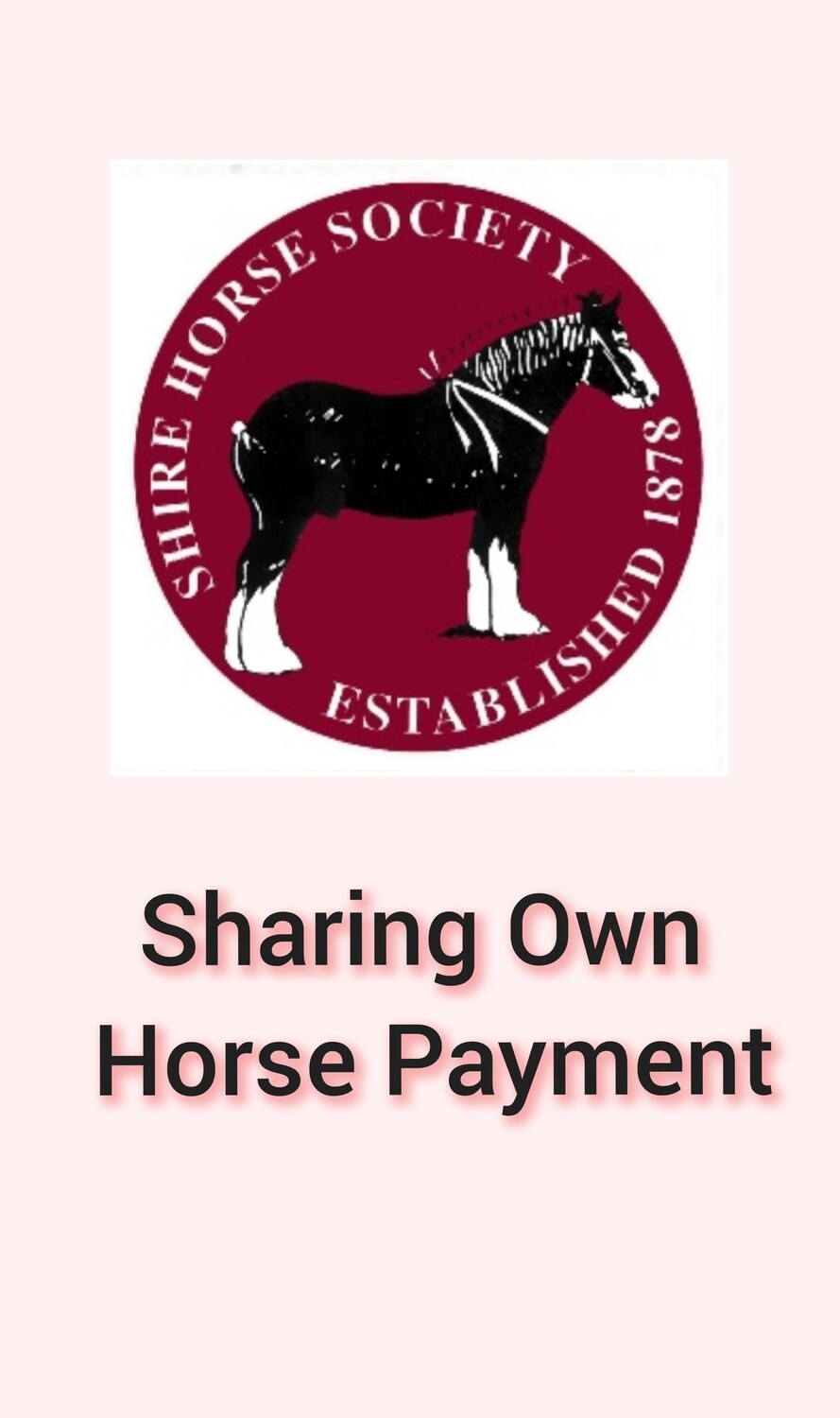 6. Second Person Sharing Own Horse