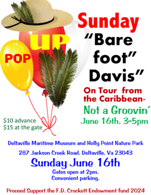 Sunday Pop Up Concert Bare Foot Davis 3-5 pm