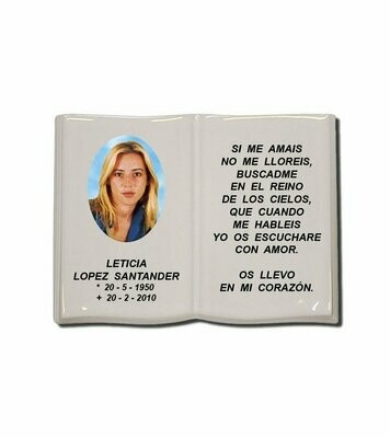 Libro Porcelana varios tamaños