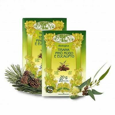 Mountain pine and eucalyptus herbal tea BIO 20 tea bags