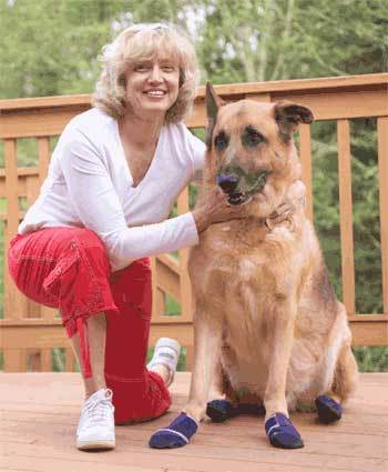 Medical Dog Boot