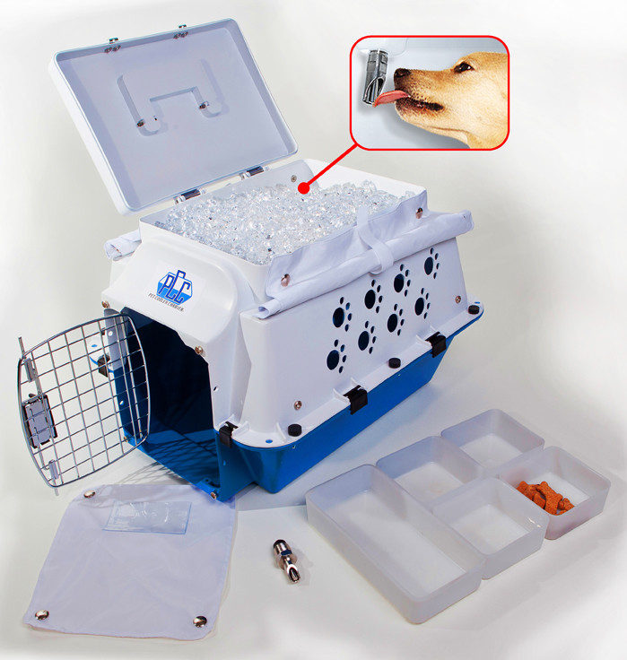 Pet Cooler Carrier  -  Blue
