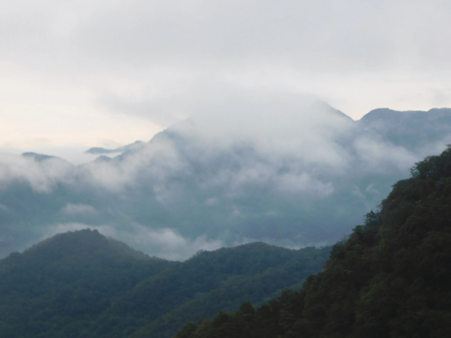 Qigong For Troubled Times (Audio Course)