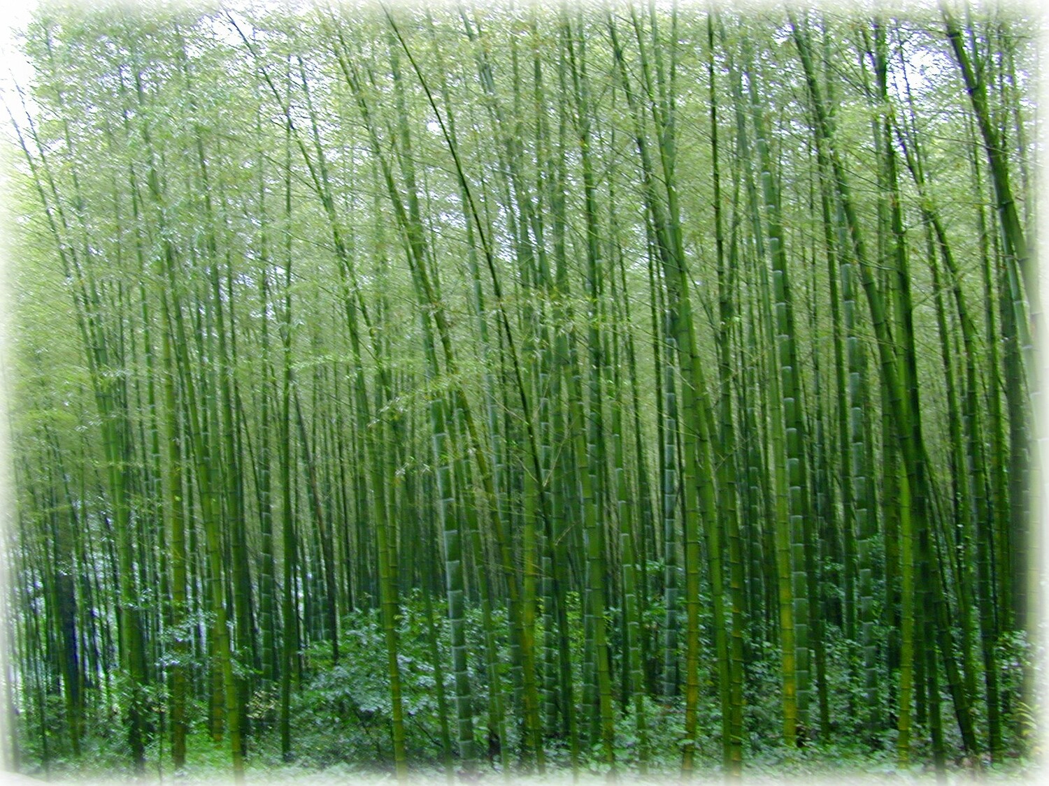 Sacred Union: The Promise of Spiritual Relationship (Audio Course)