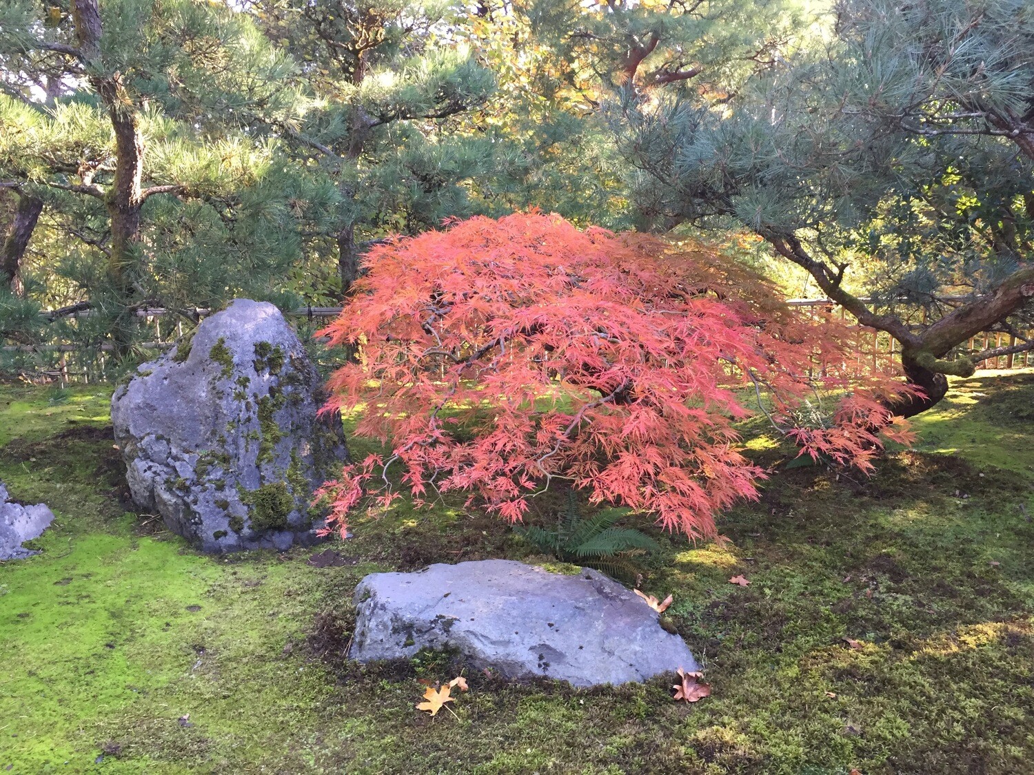 MOVING INTO AUTUMN