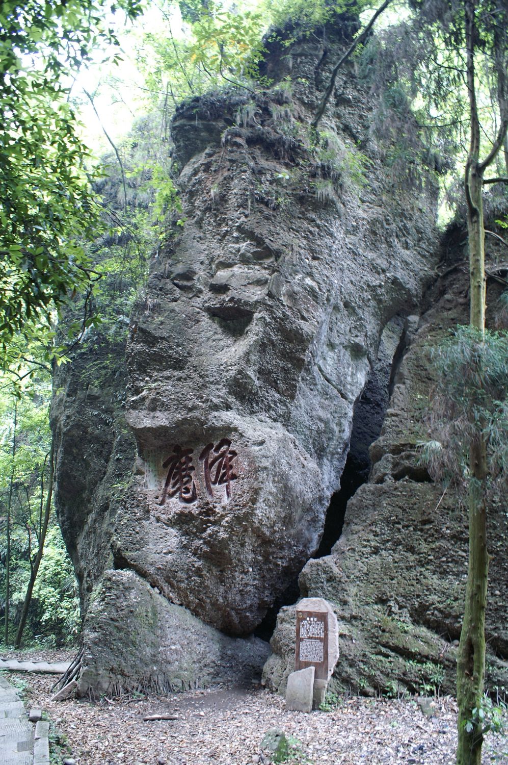 The Inner Chapters by Solala Towler (small hardcover)