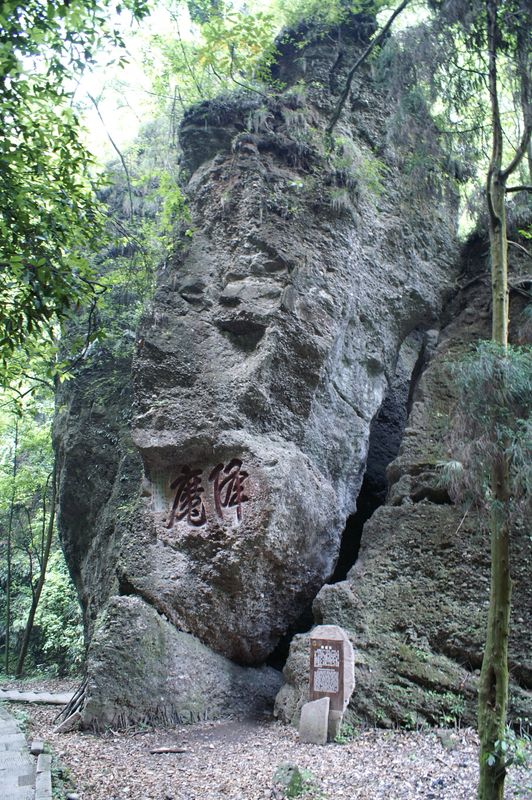 The Inner Chapters by Solala Towler (small hardcover)