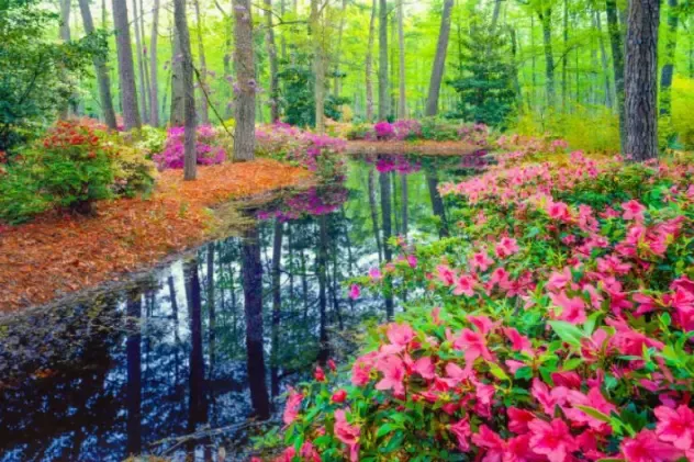 Heavenly Heart Qigong with Solala Towler