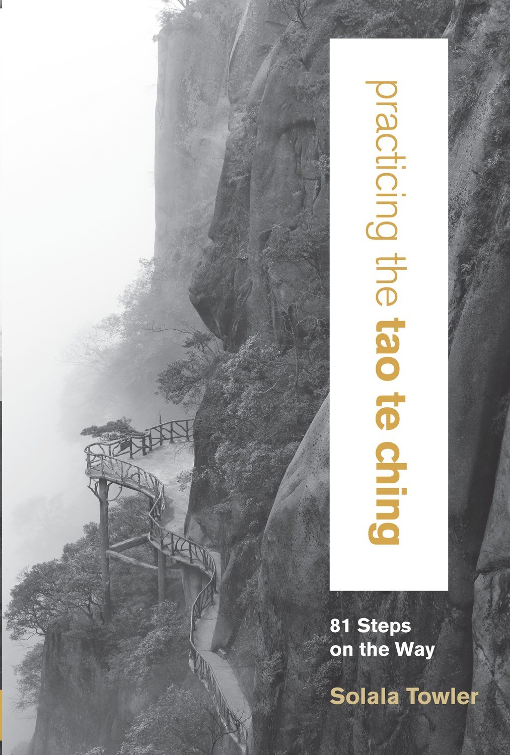 Practicing the Tao Te Ching: 81 Steps On the Way