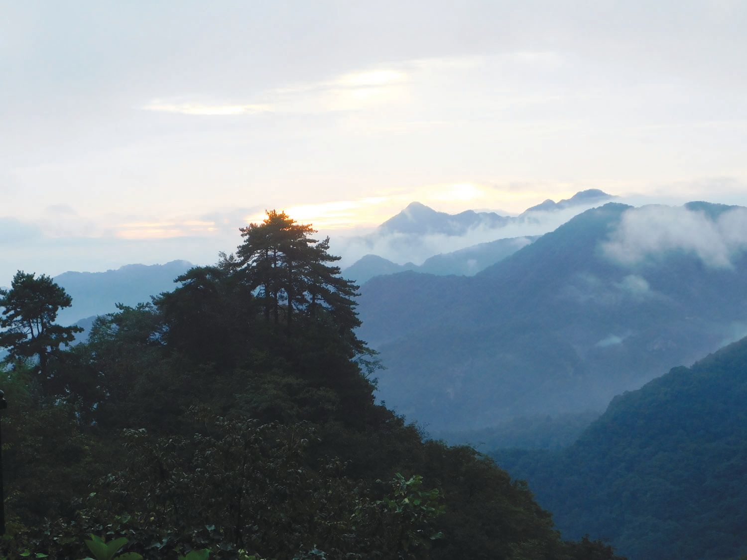 Healing Our Heart Qigong