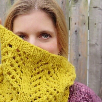 Narwhal Cowl