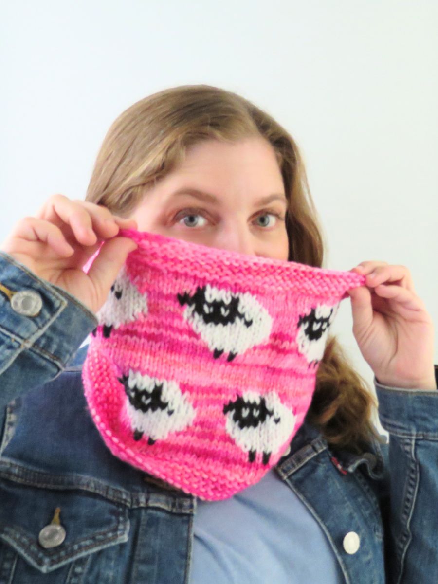 Ewephoria: A Sheep Cowl