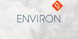 Environ Bundles